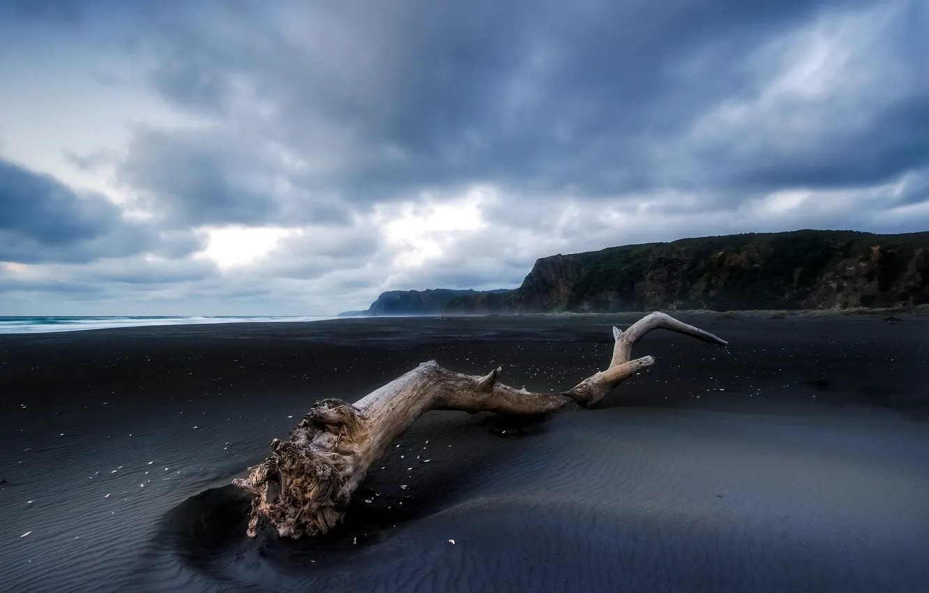 Photo wallpaper sea, trees, landscape