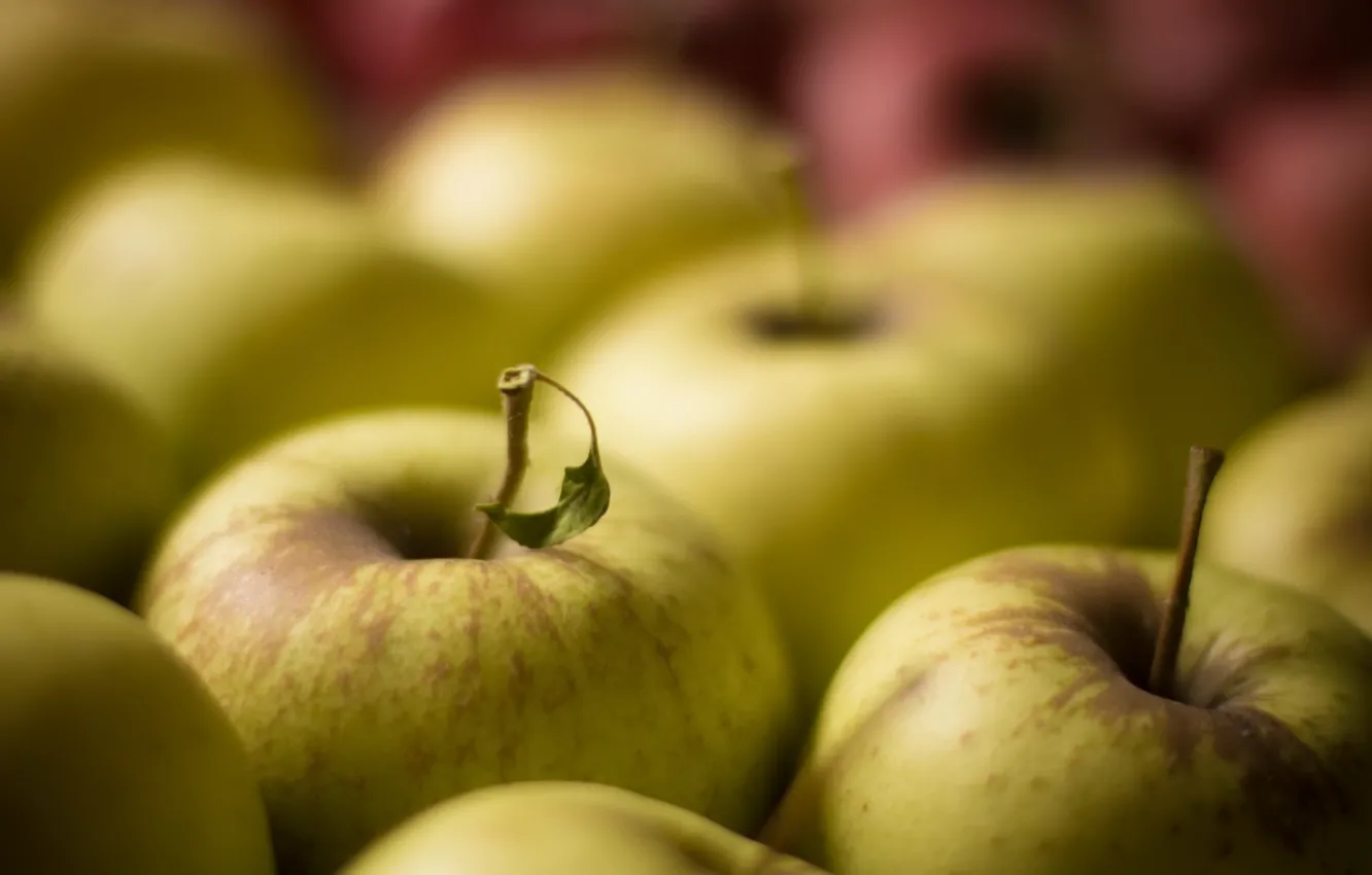 Photo wallpaper macro, apples, fruit