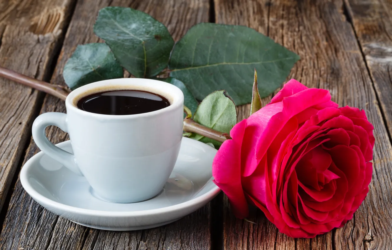 Photo wallpaper flowers, coffee, roses
