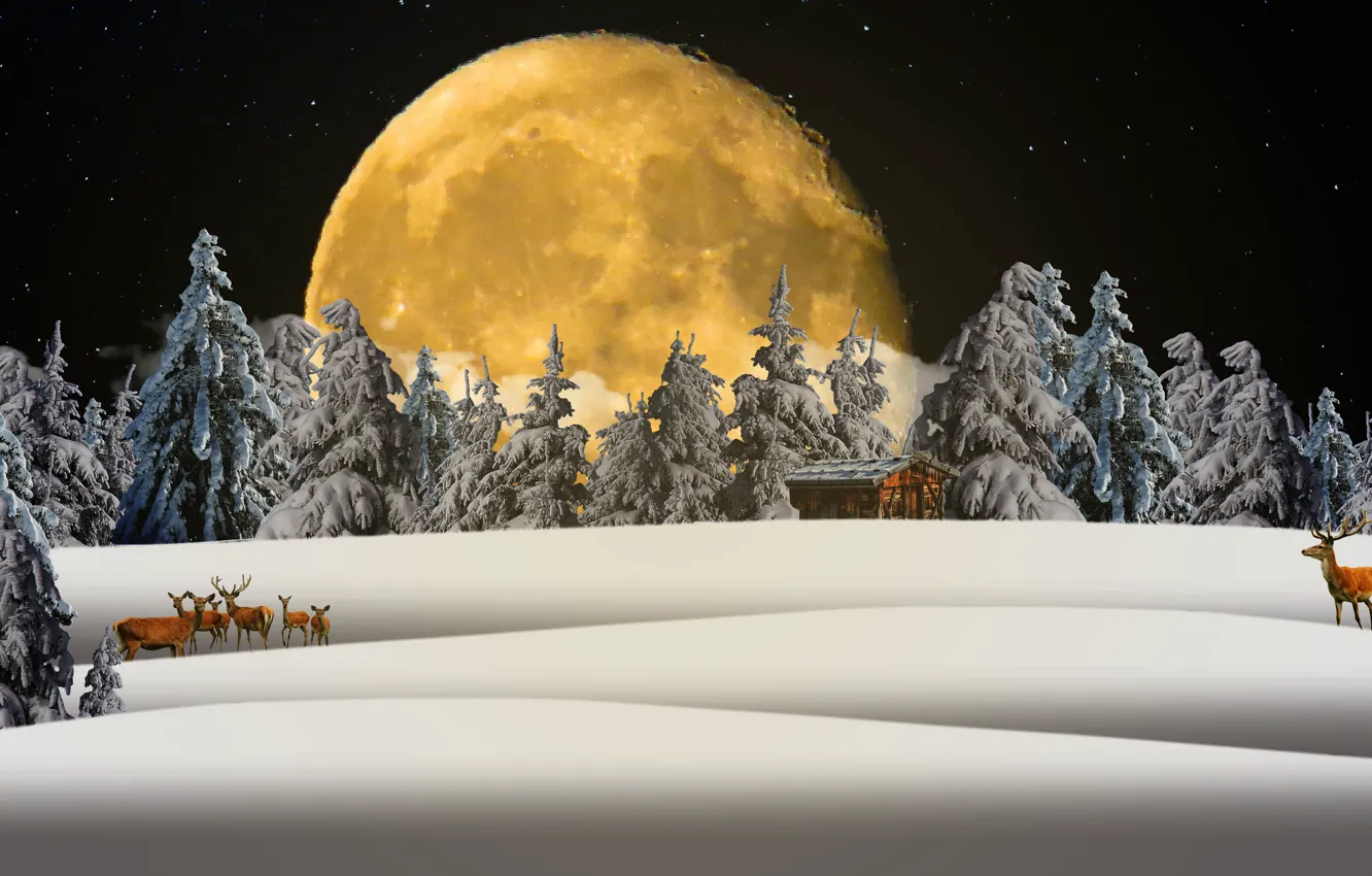 Photo wallpaper winter, forest, the moon, new year, deer, Christmas, the snow