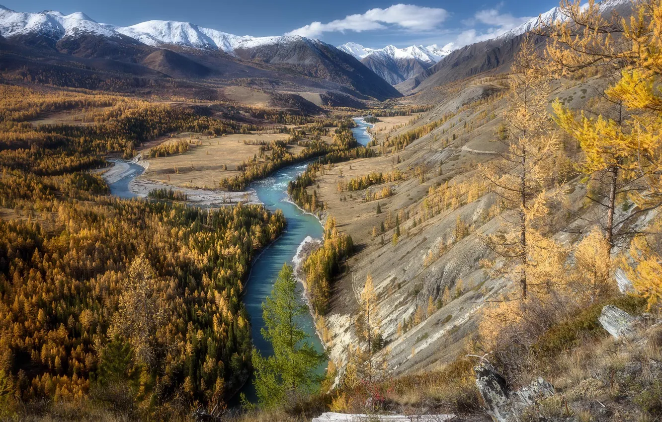 Photo wallpaper landscape, mountains, nature, river, hills, forest, Altay, Paul Kalinenko