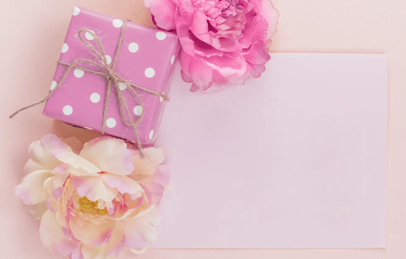 Photo wallpaper flowers, gift, buds, box, flower, pink, git