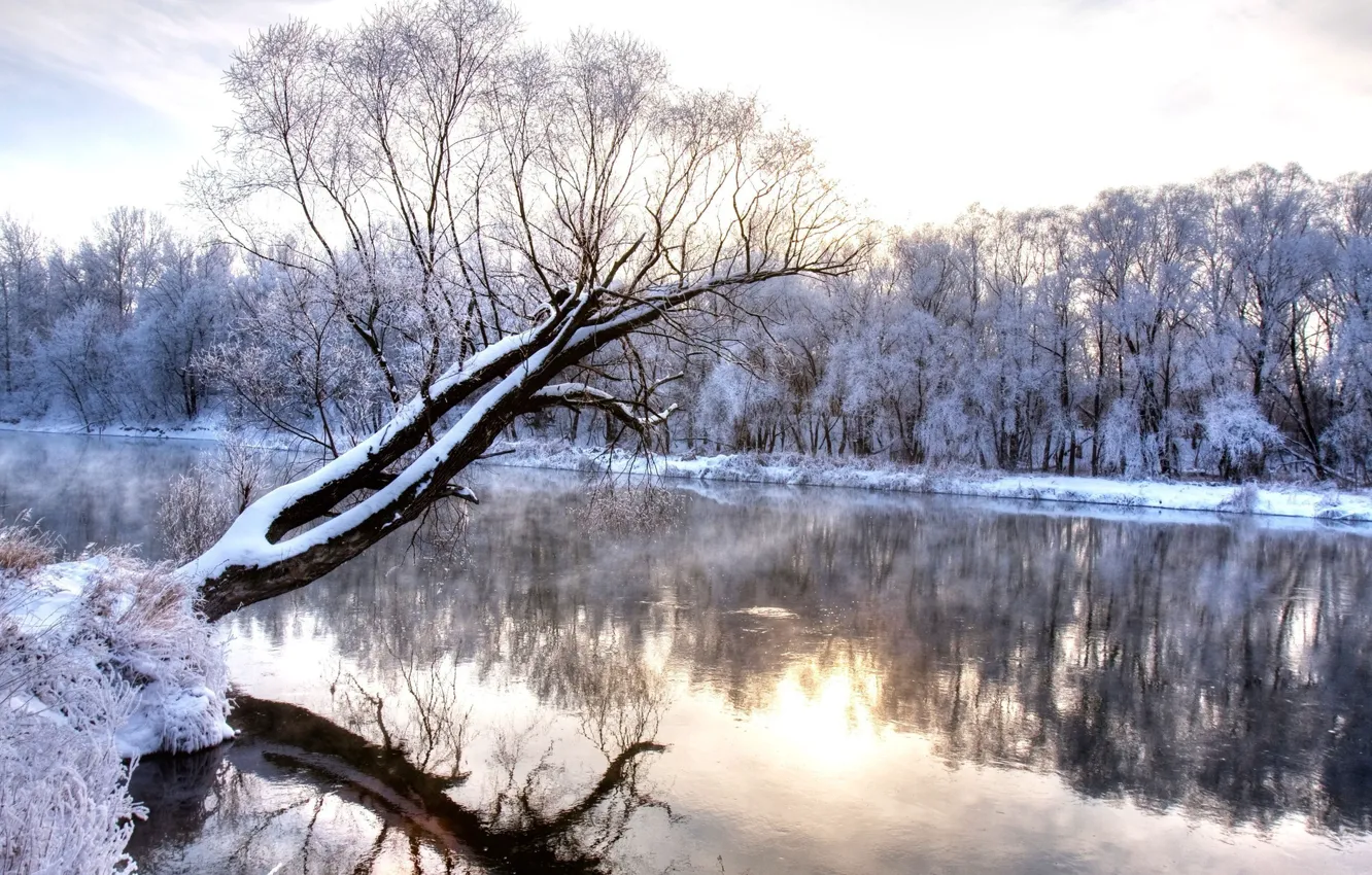 Photo wallpaper winter, snow, trees, river