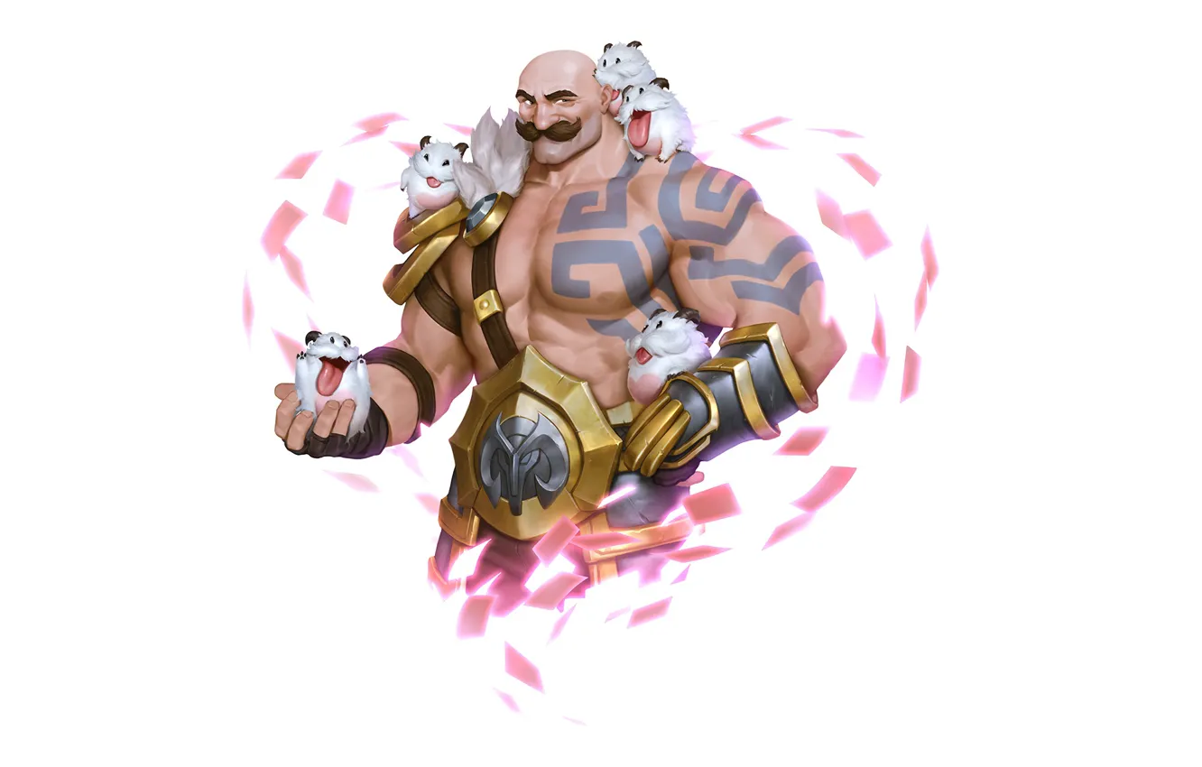 Photo wallpaper Braum, Poro, Legends of Runeterra