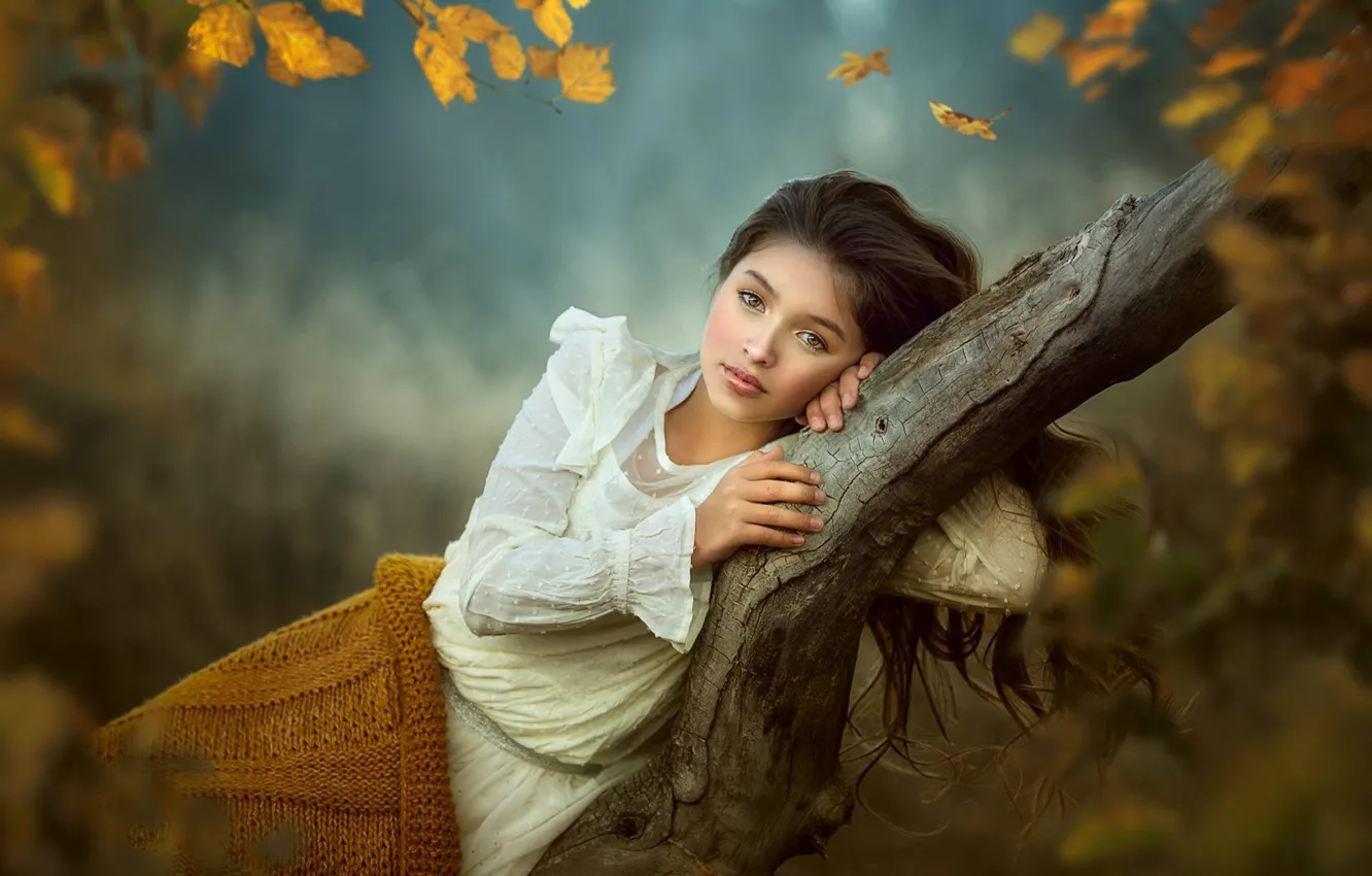 Photo wallpaper autumn, look, branches, pose, tree, mood, girl
