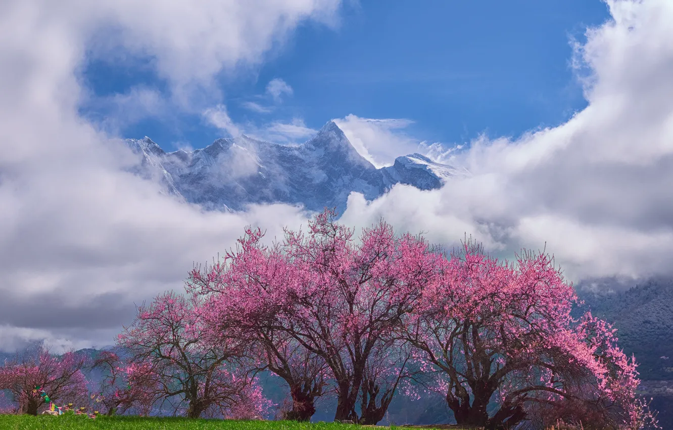 Photo wallpaper clouds, trees, mountains, cherry, Asia, spring, Sakura, haze