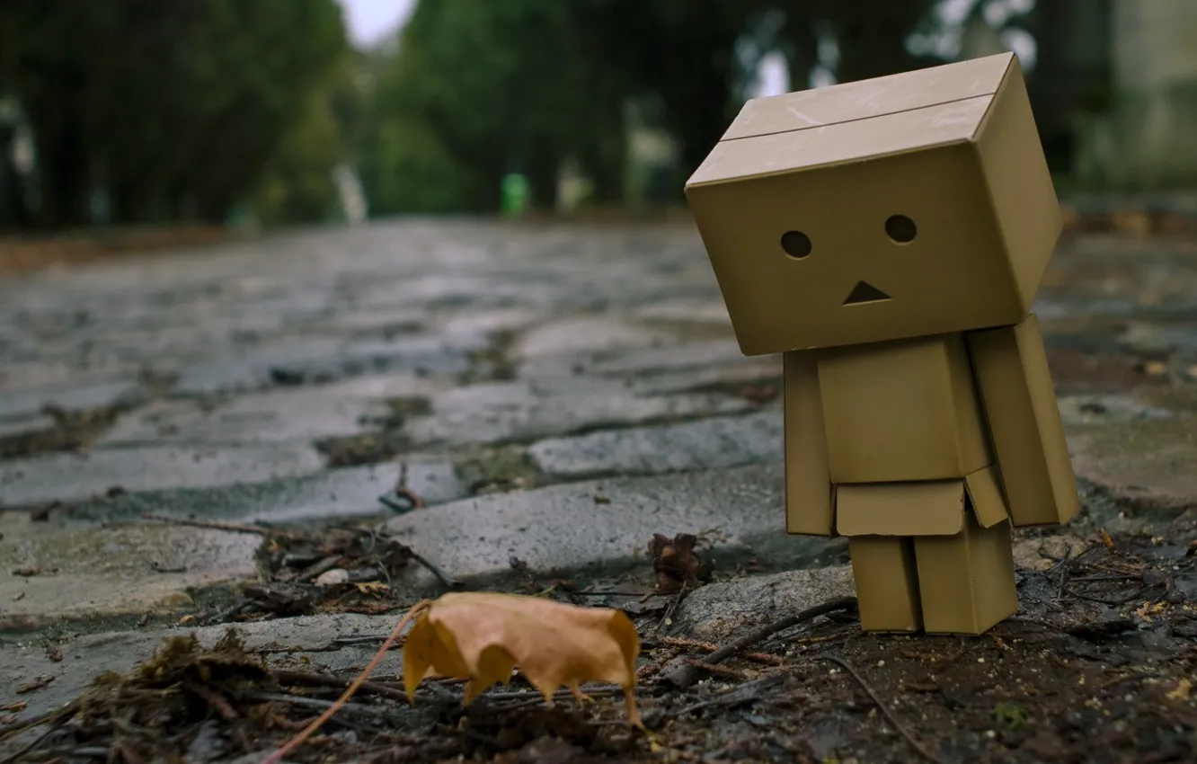 Photo wallpaper autumn, men, cardboard