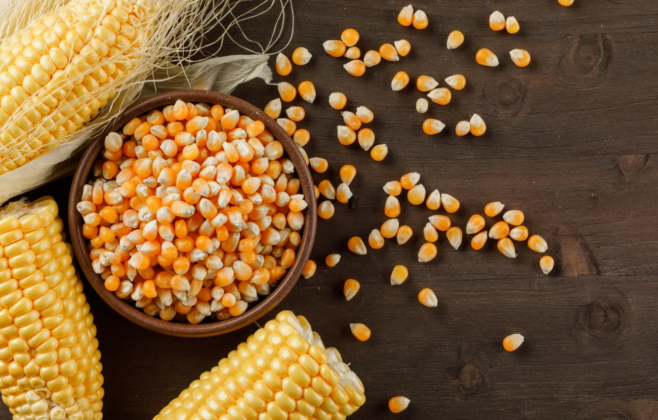 Photo wallpaper corn, the cob, corn grains