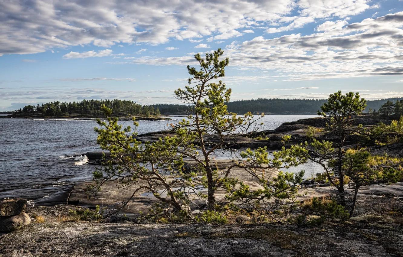 Photo wallpaper summer, rocks, Russia, Lake Ladoga, Karelia, Ladoga, Skerries, Ladoga Skerries