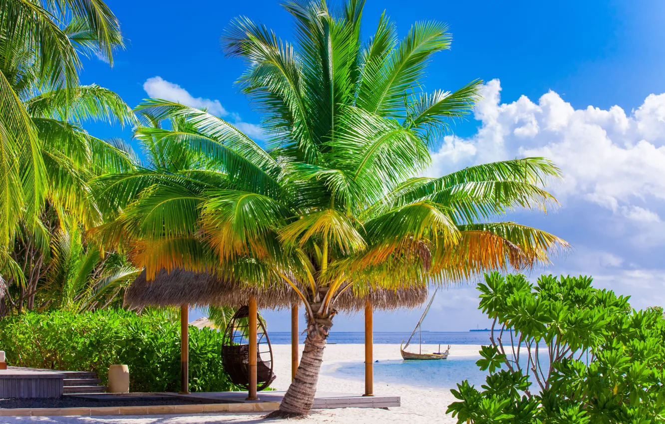 Photo wallpaper sand, sea, beach, palm trees, shore, summer, beach, sea