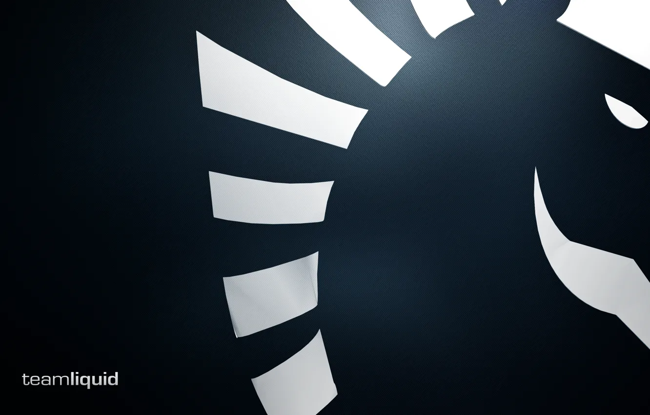 Photo wallpaper dota2, KraSS, Team Liquid