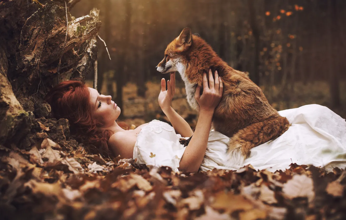 Photo wallpaper autumn, forest, girl, Fox, lies, red