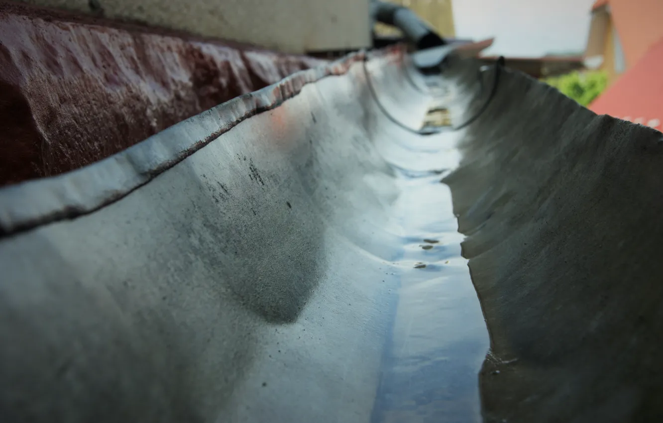 Photo wallpaper water, rain, rain, water, macro, walpappers