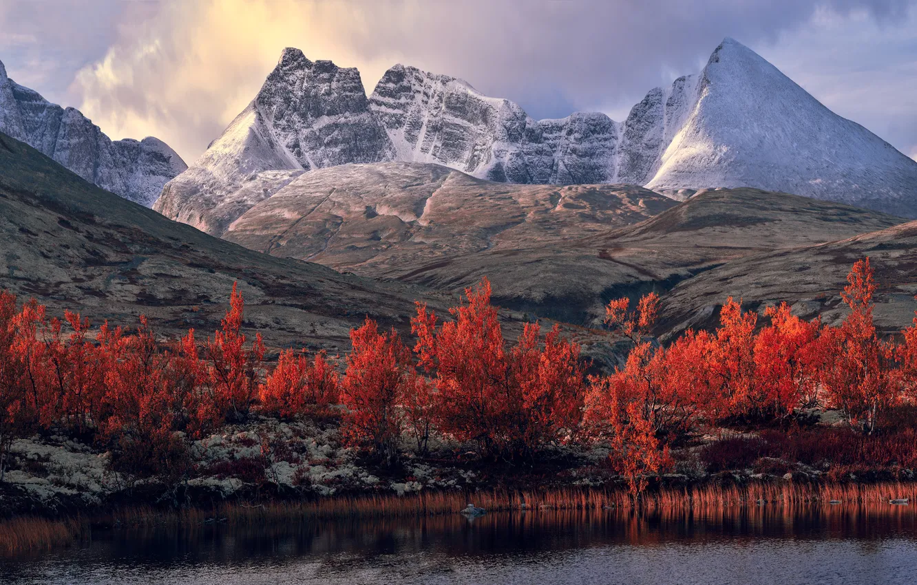 Photo wallpaper autumn, forest, mountains, pond