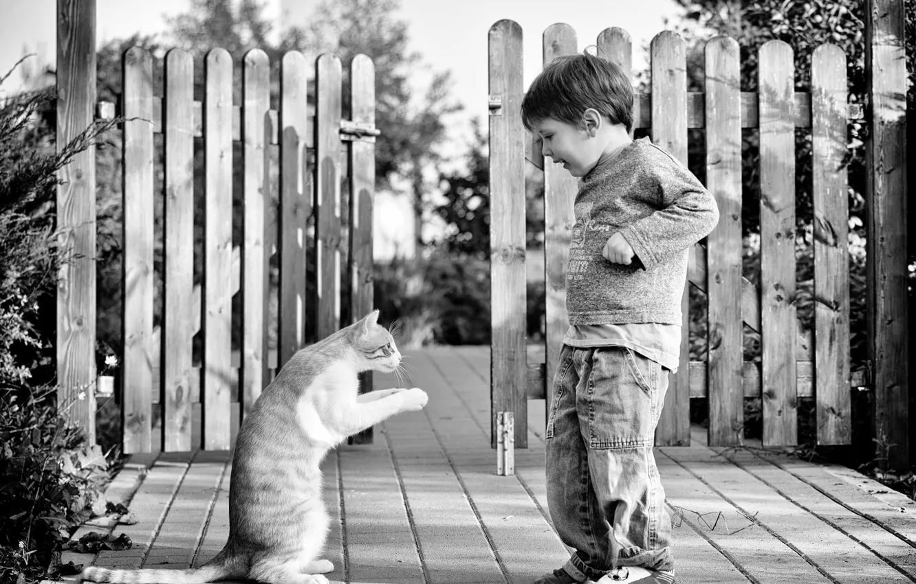 Photo wallpaper cat, the fence, child, boy, black and white photo
