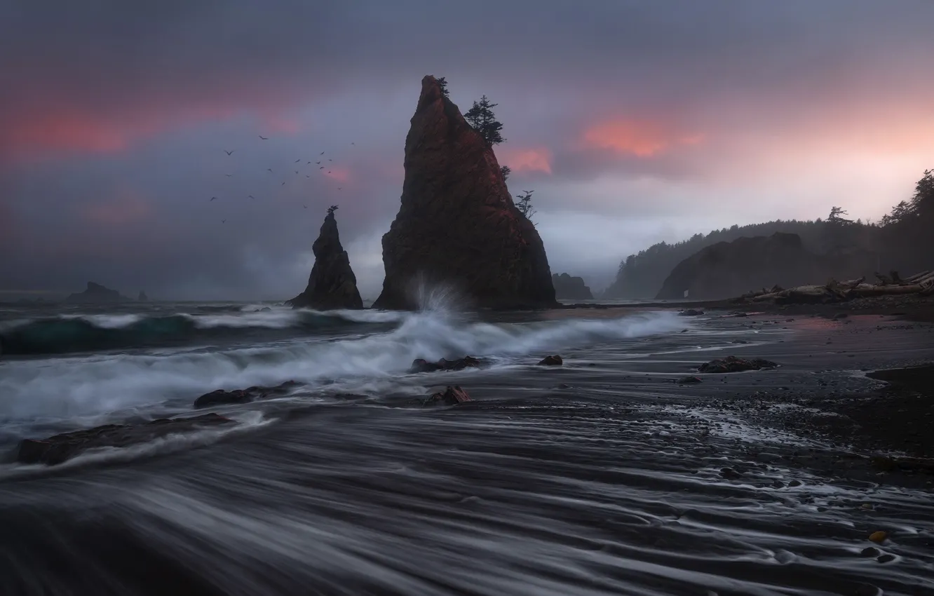 Photo wallpaper sea, stones, rocks