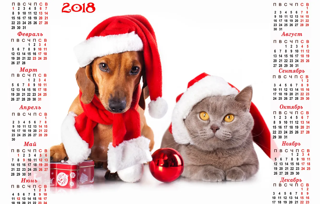 Photo wallpaper cat, red, holiday, hat, new year, dog, scarf, Christmas