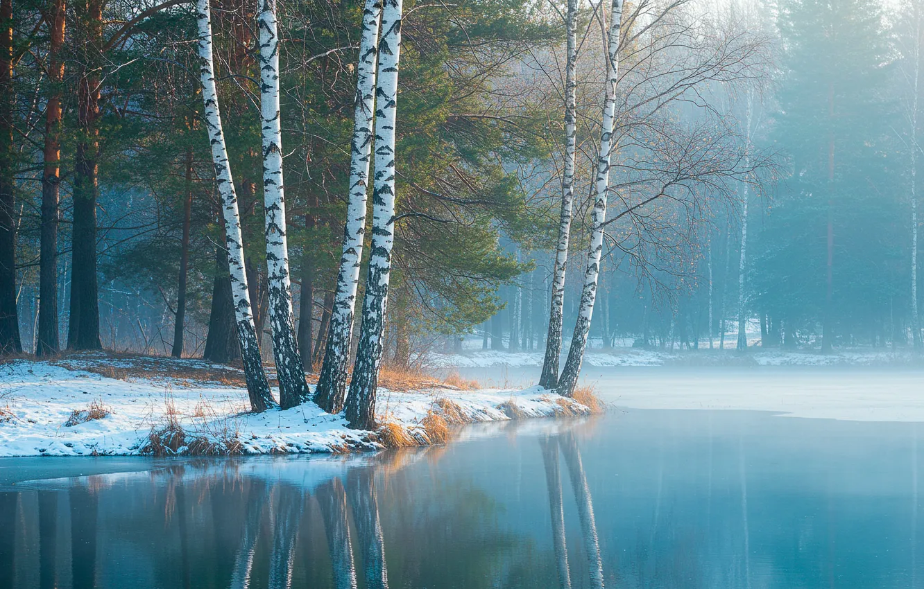 Photo wallpaper forest, water, fog, spring, wallpaper, forest, water, fog