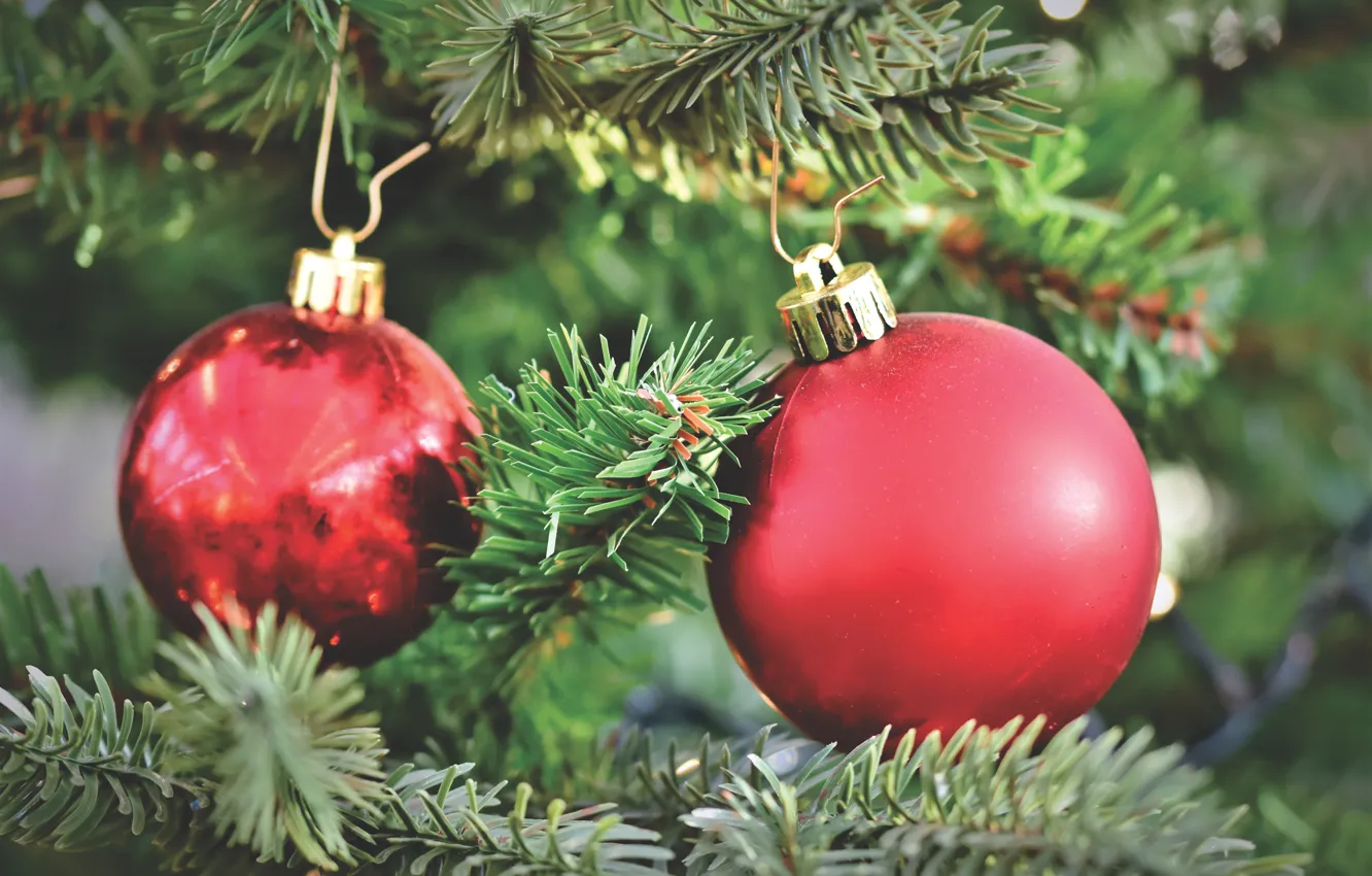 Photo wallpaper winter, balls, branches, red, holiday, balls, two, tree
