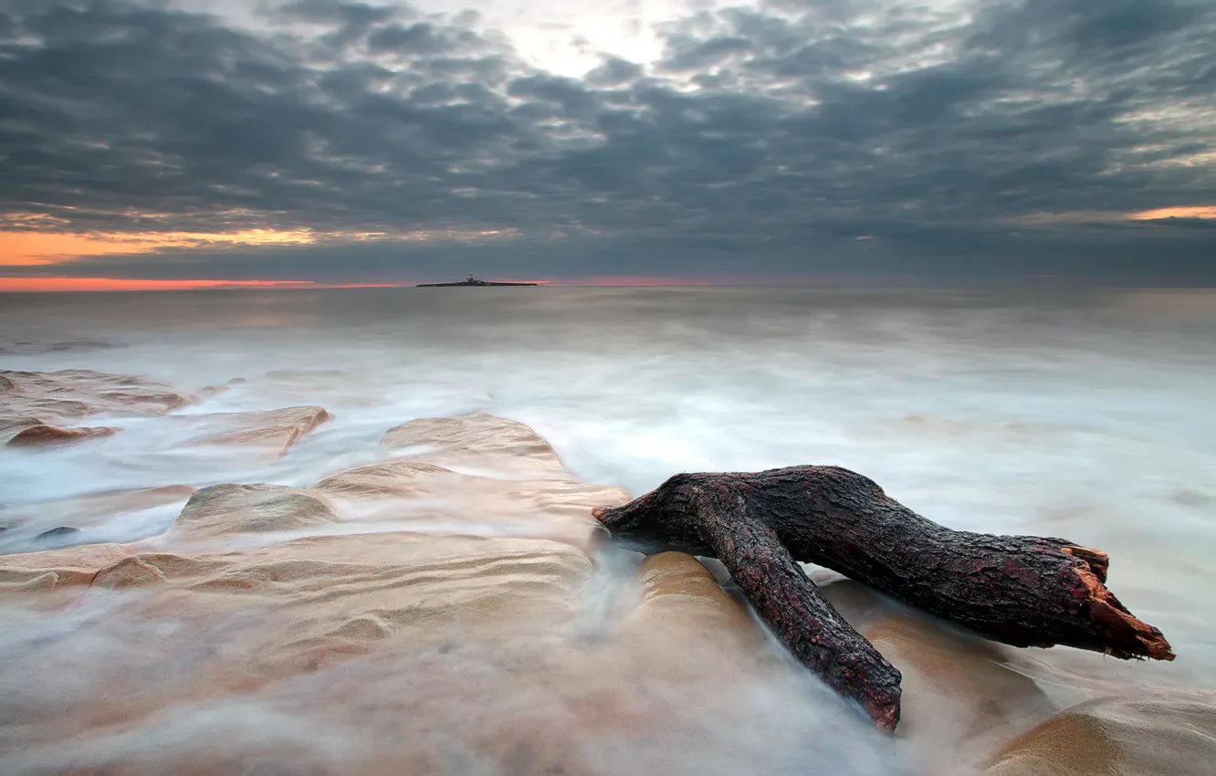 Photo wallpaper sea, trees, landscape, nature