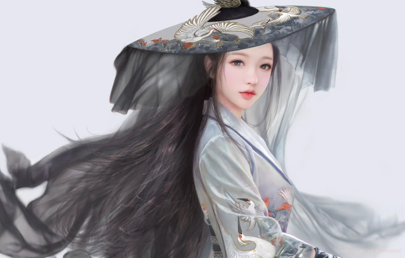 Photo wallpaper hat, grey background, long hair, veil, cranes, Korean, grey suit, by Ruoxin Zhang