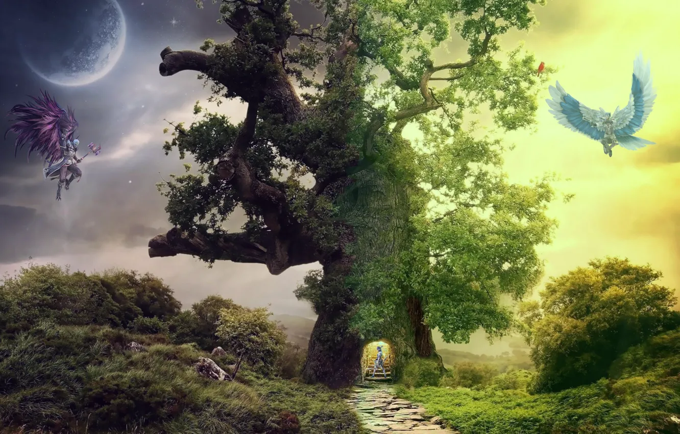 Photo wallpaper fantasy, Wallpaper, free, download Wallpapers for desktop