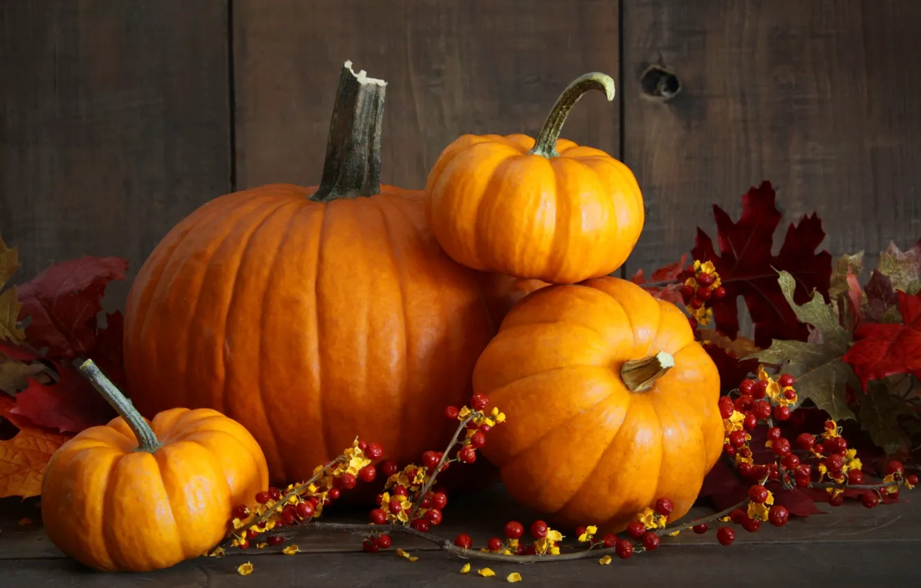 Photo wallpaper autumn, harvest, pumpkin