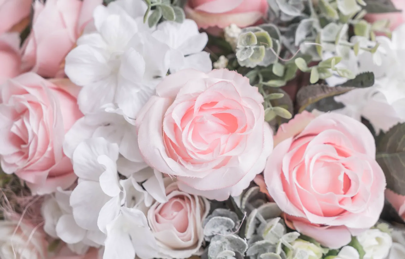 Photo wallpaper flowers, roses, petals, pink, white, buds
