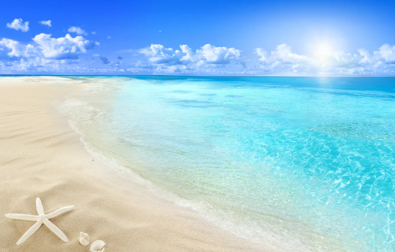 Photo wallpaper beach, sea, sun, sand, seashell, starfish