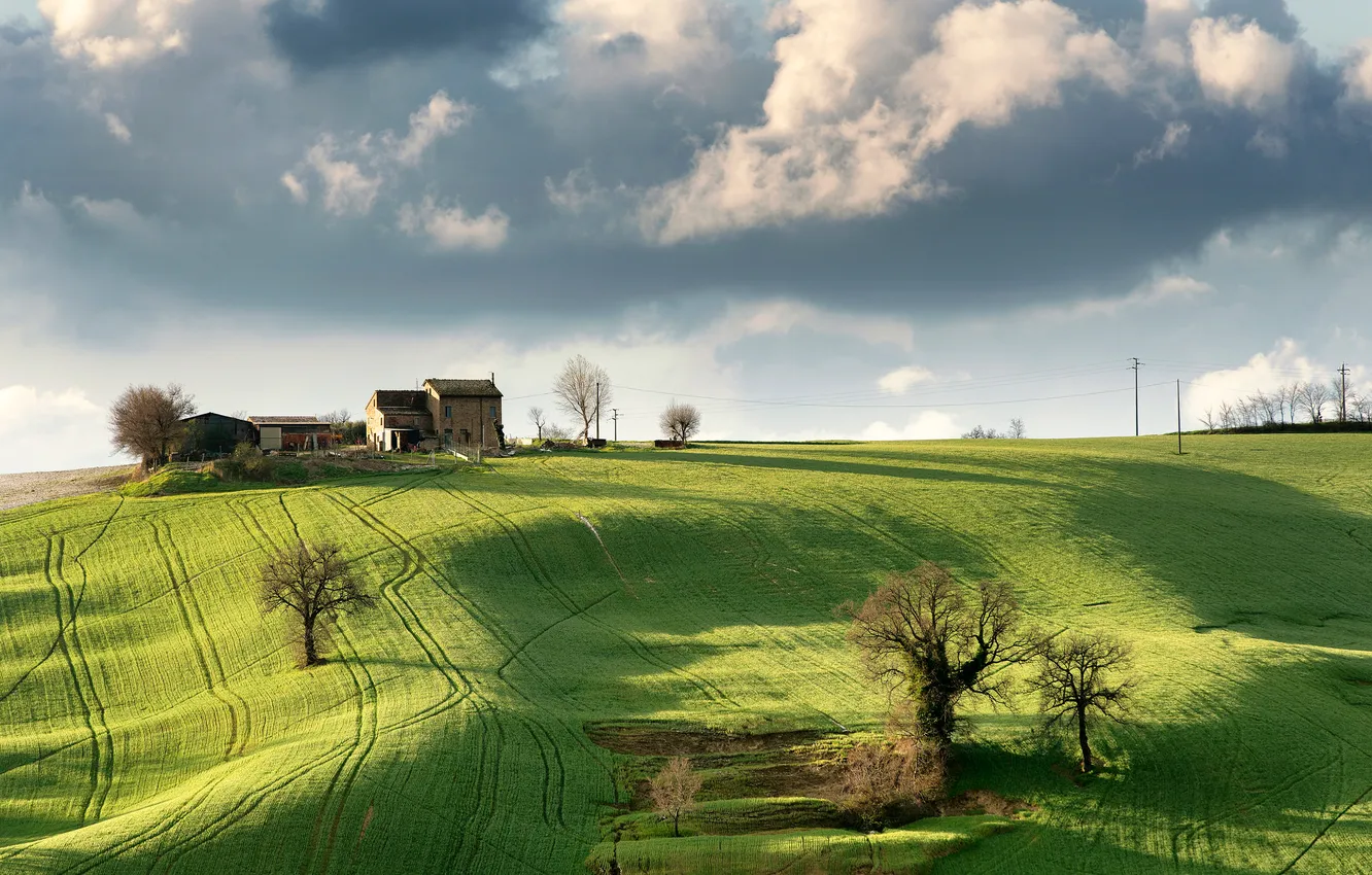 Photo wallpaper field, the sky, grass, hills, home