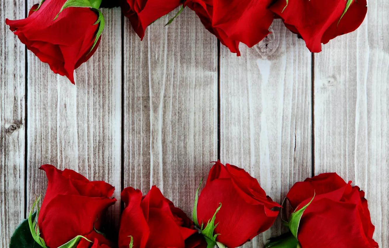 Photo wallpaper flowers, red, roses, wood, flowers, roses, bud