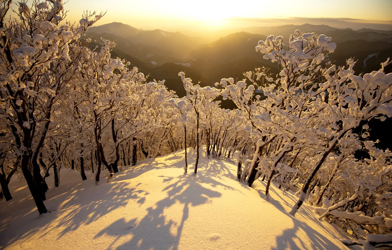 Photo wallpaper winter, snow, trees, mountains, dawn, Japan, morning, japan