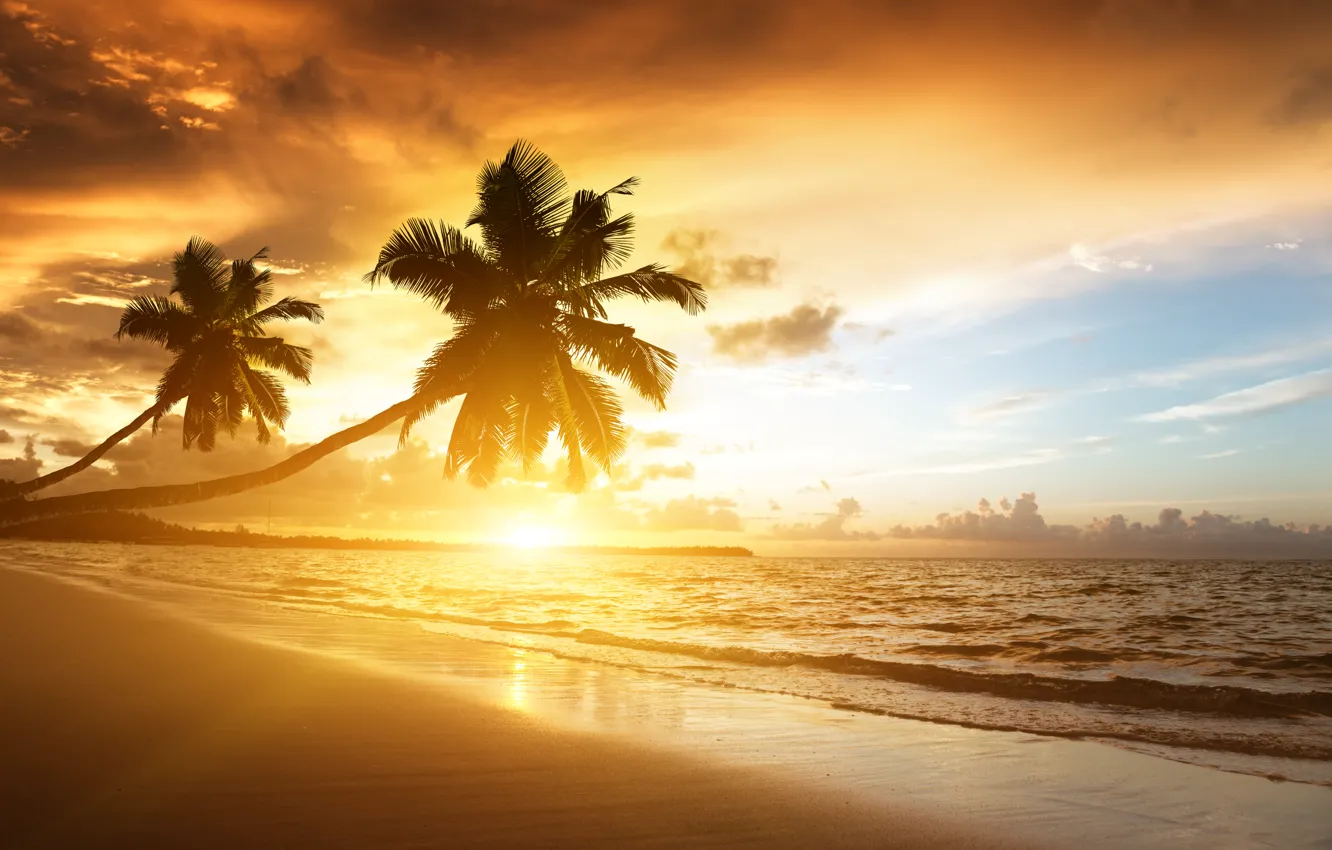 Photo wallpaper sea, beach, the sky, the sun, clouds, landscape, nature, palm trees