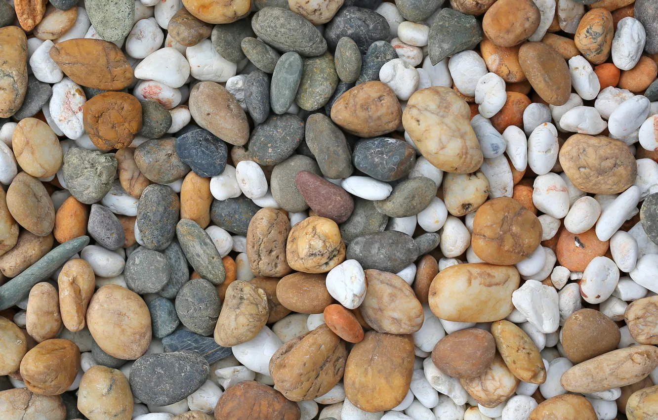 Photo wallpaper beach, pebbles, stones, background, white, white, beach, texture