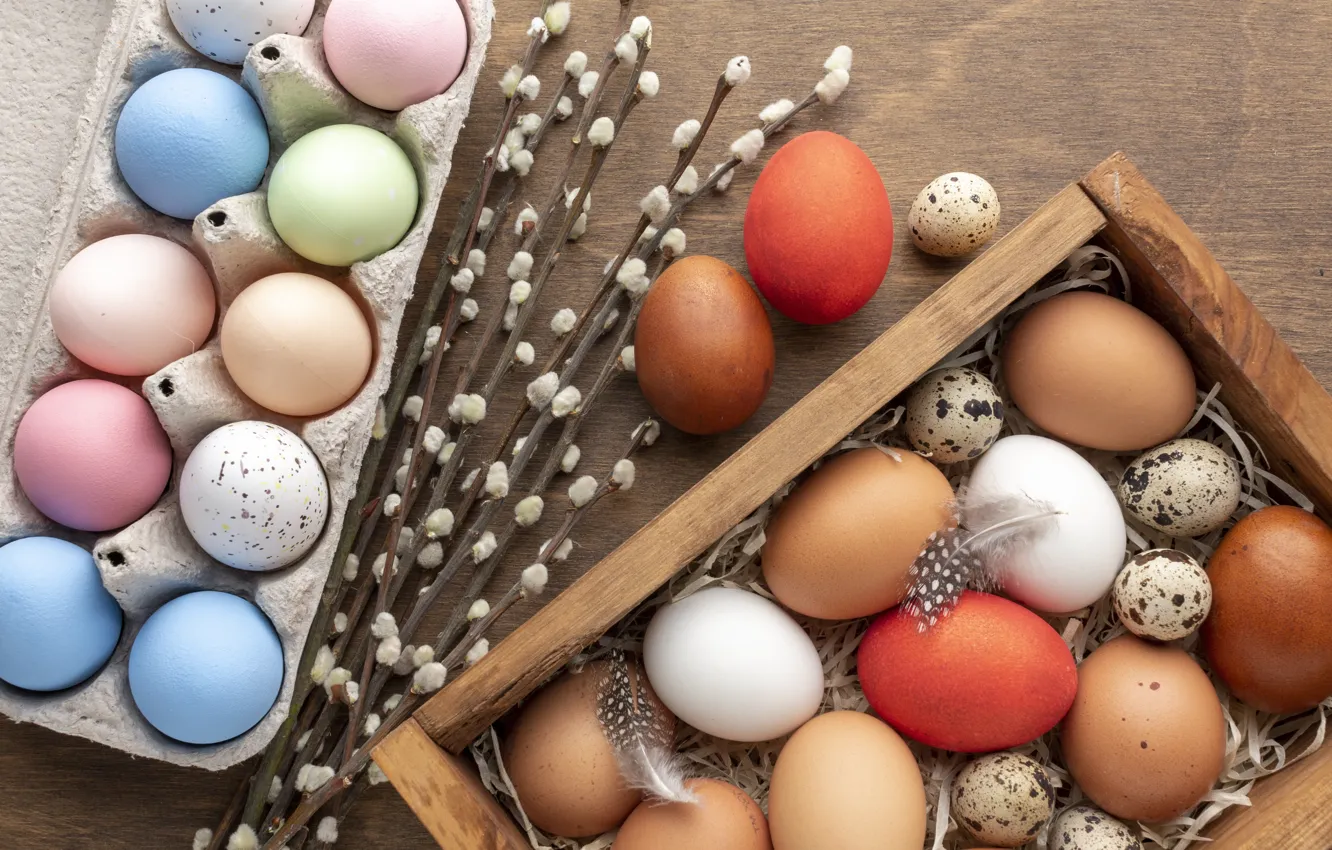 Photo wallpaper feathers, holiday, colorful, chicken, Easter, IVA, branches, eggs