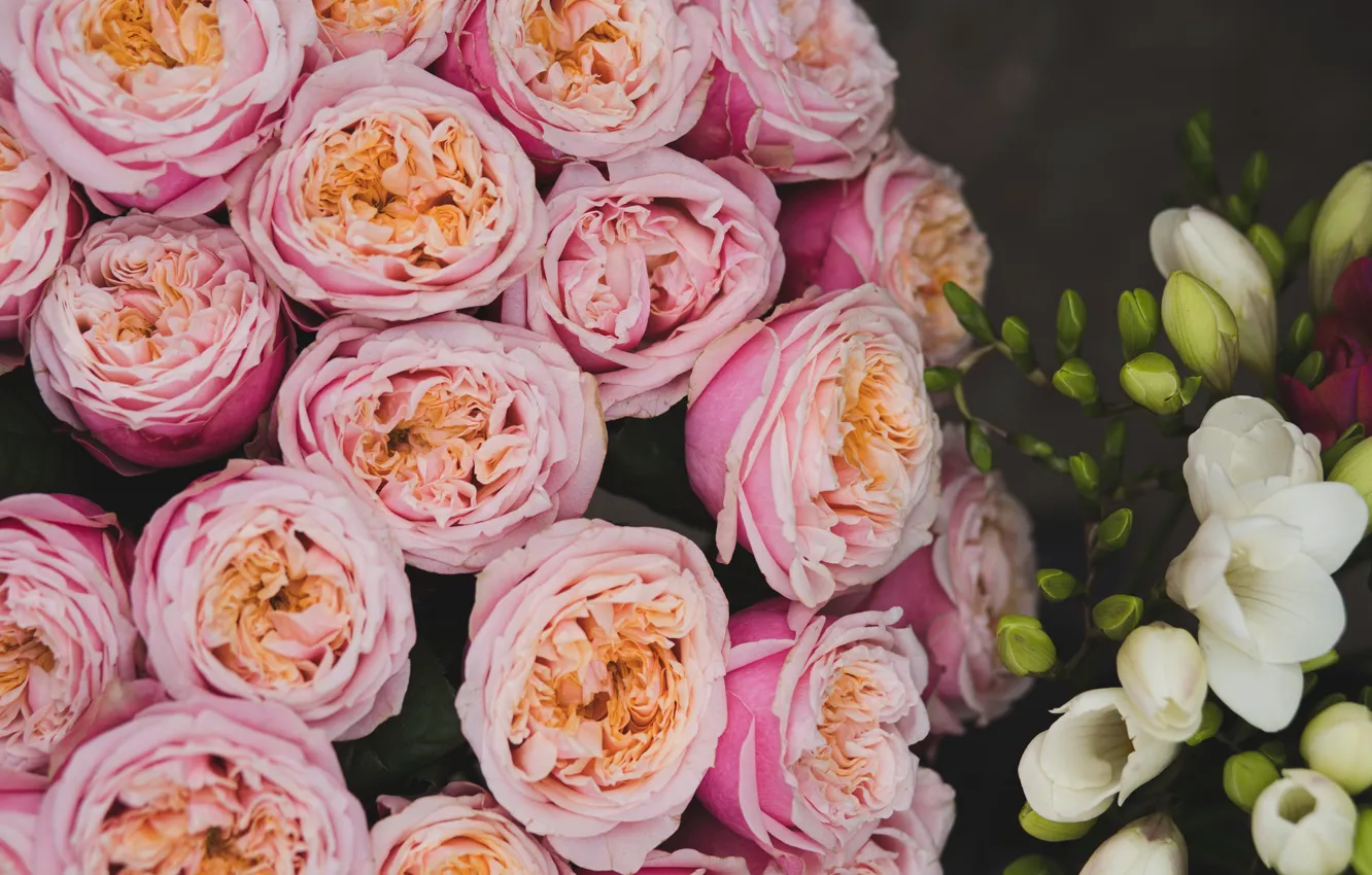 Photo wallpaper flowers, roses, bouquet, pink, white, a lot, different