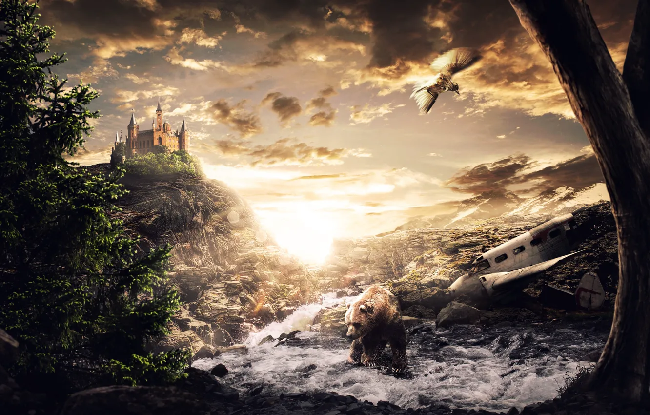Photo wallpaper sunset, nature, castle, collage, bird, bear, art, desktopography