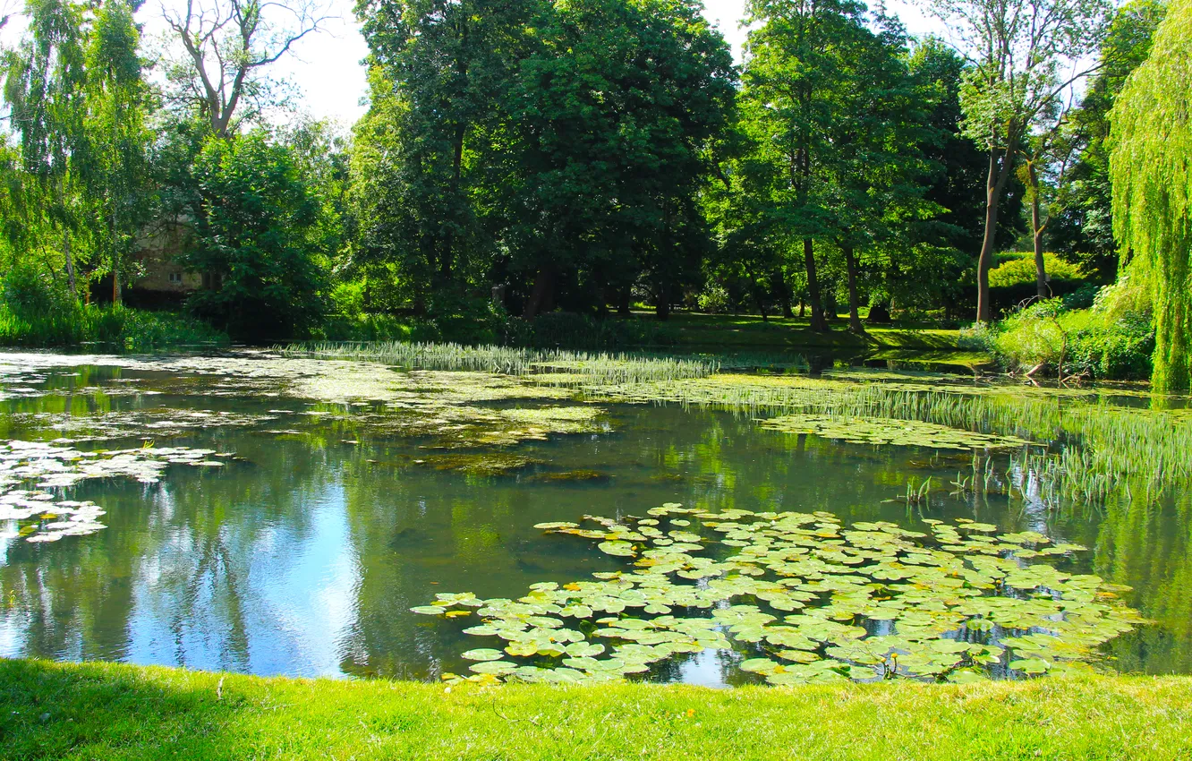 Photo wallpaper water, lake, pond