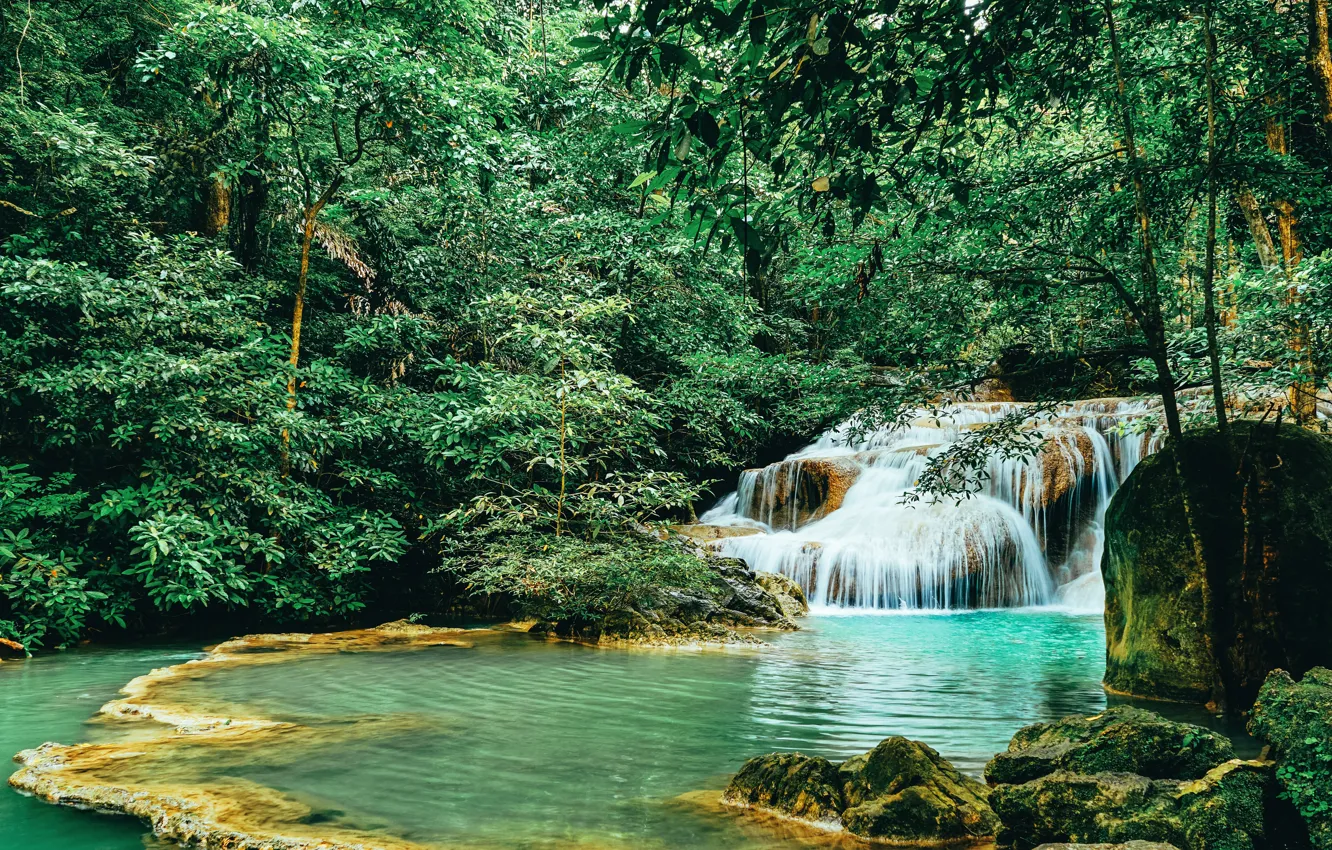 Photo wallpaper forest, landscape, river, rocks, waterfall, summer, forest, tropical