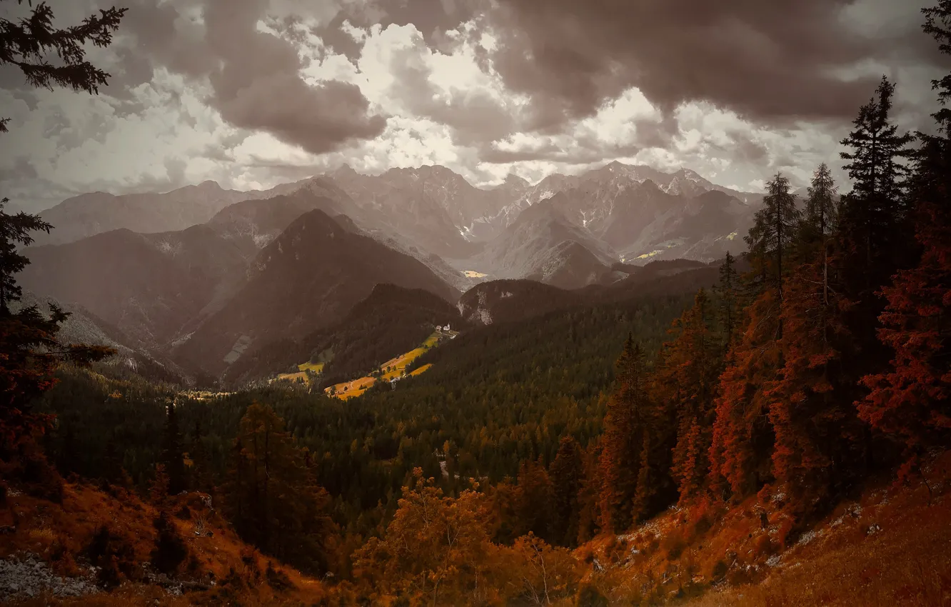 Photo wallpaper autumn, forest, the sky, clouds, trees, mountains, hills, tops