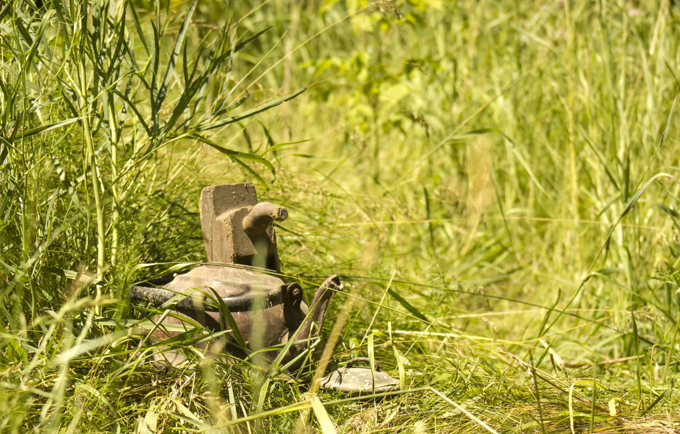 Photo wallpaper greens, grass, nature, background, kettle, meadow, planer