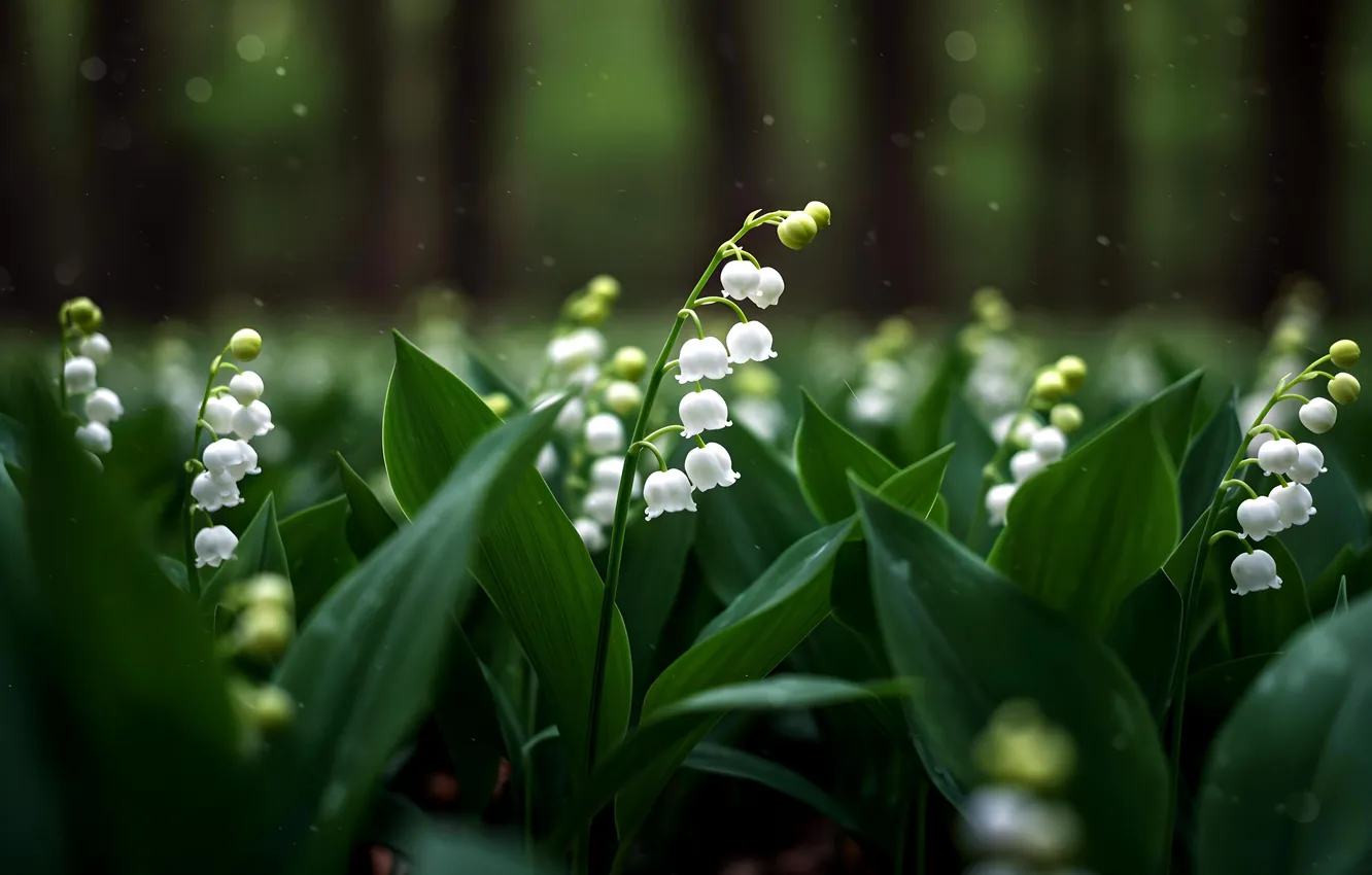 Photo wallpaper spring, lilies of the valley, AI art