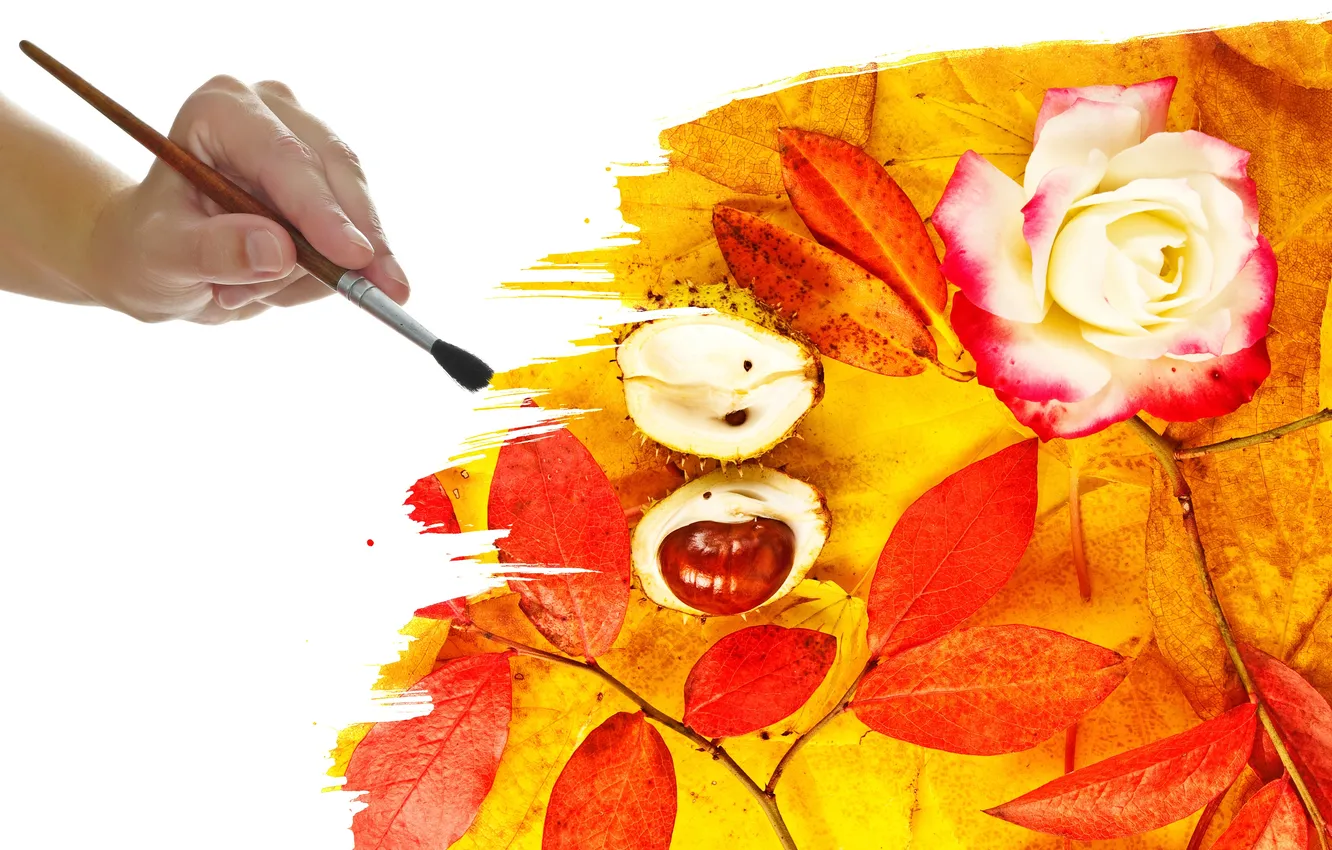 Photo wallpaper autumn, leaves, flowers, hands, brush, acorns