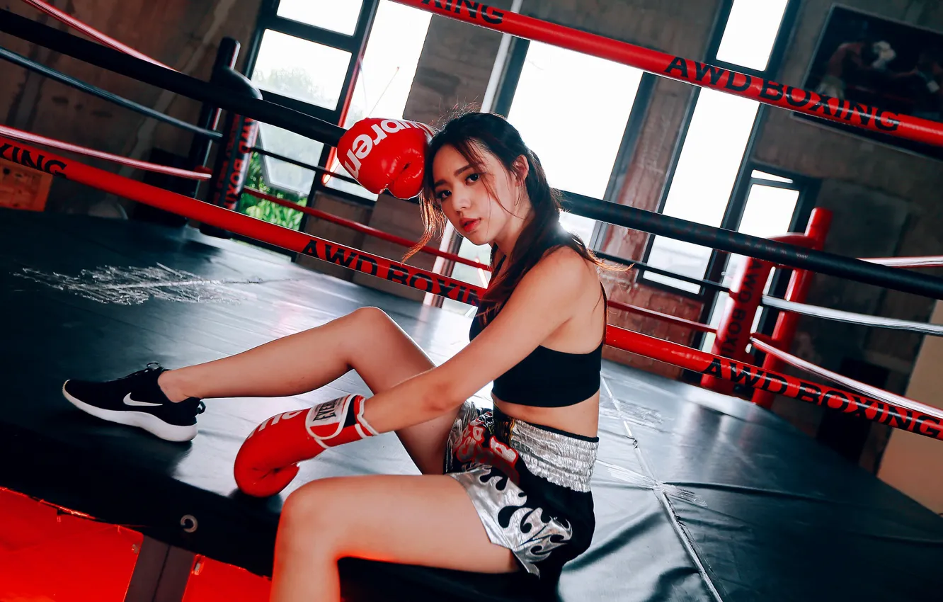Photo wallpaper girl, face, pose, sport, Boxing, the ring