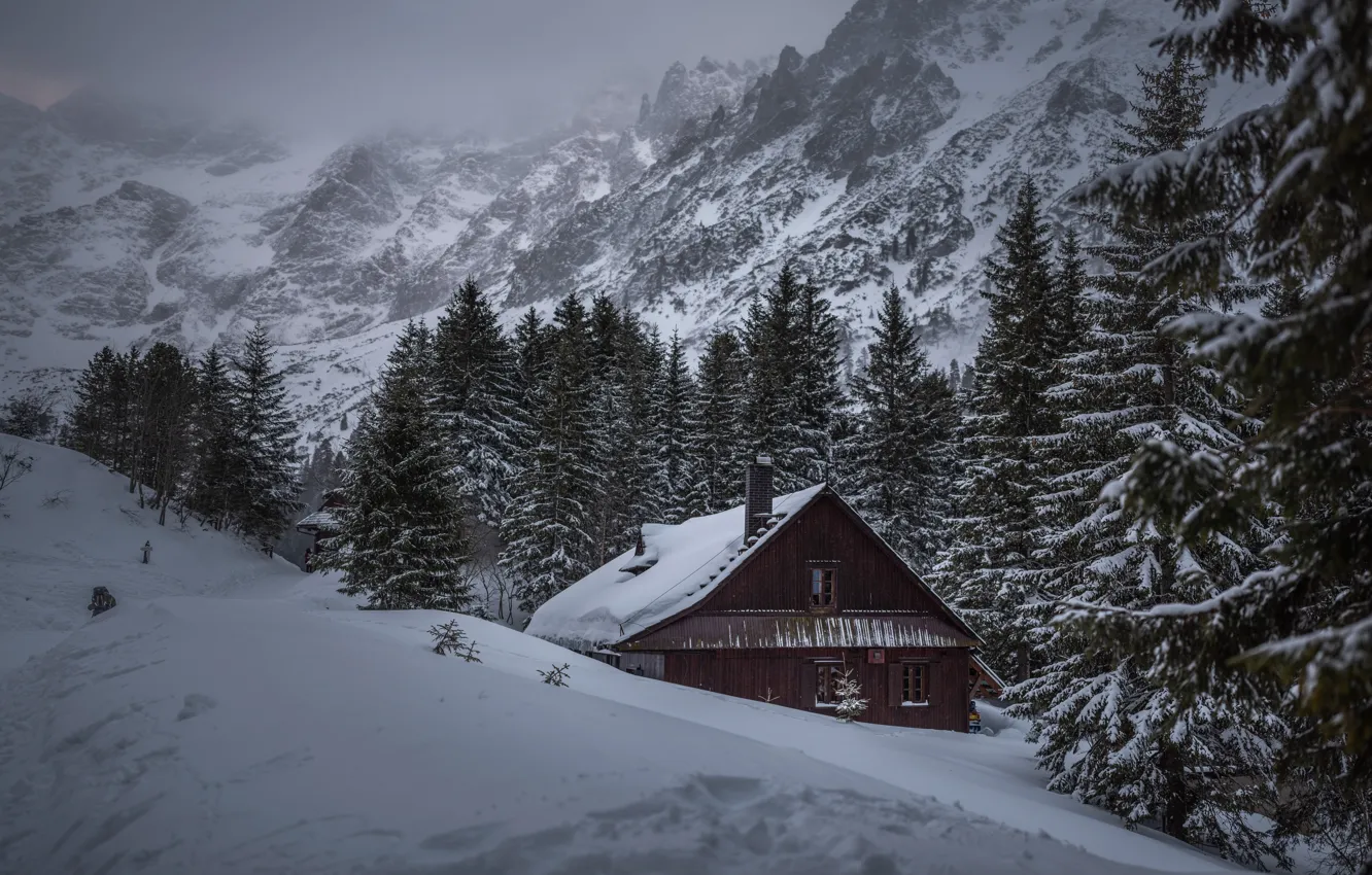 Photo wallpaper winter, forest, snow, mountains, fog, hills, home, ate