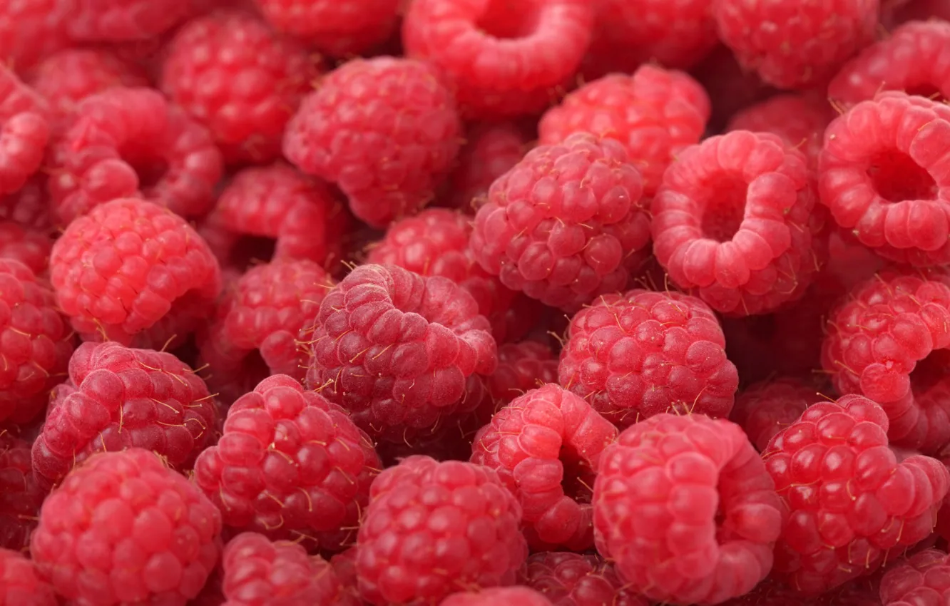 Photo wallpaper berries, raspberry, placer, a lot