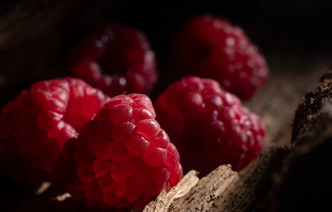 Photo wallpaper berries, the dark background, raspberry
