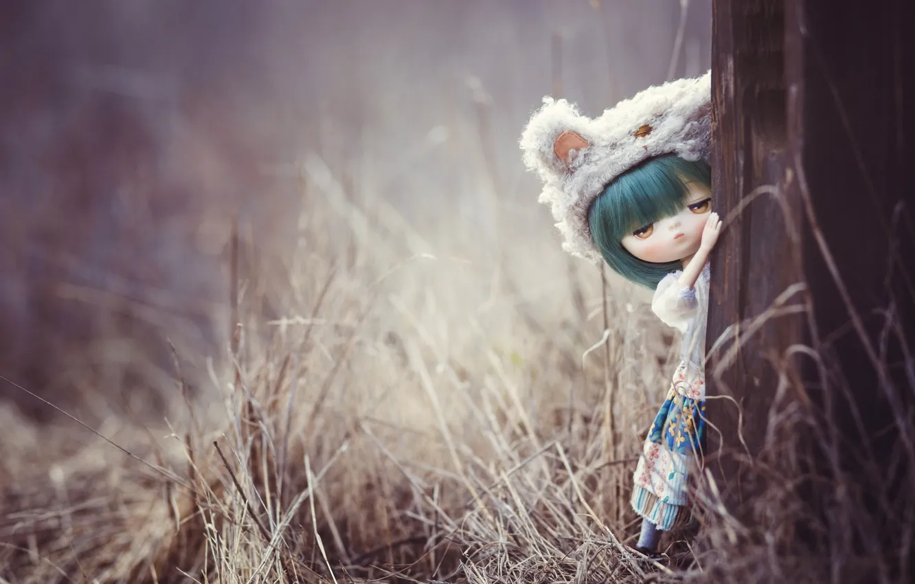 Photo wallpaper trees, hat, doll, girl