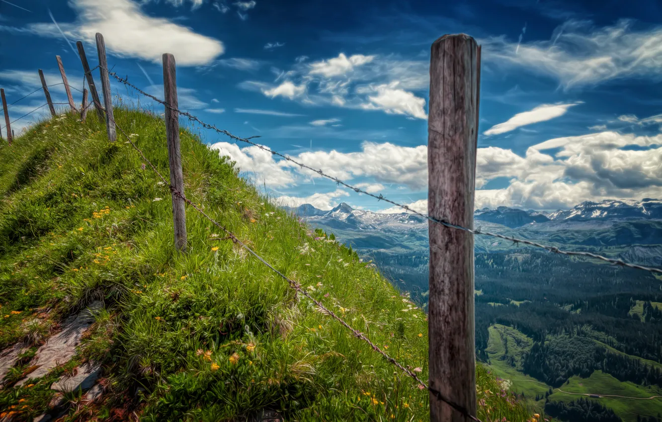 Photo wallpaper landscape, view, barb, the fence