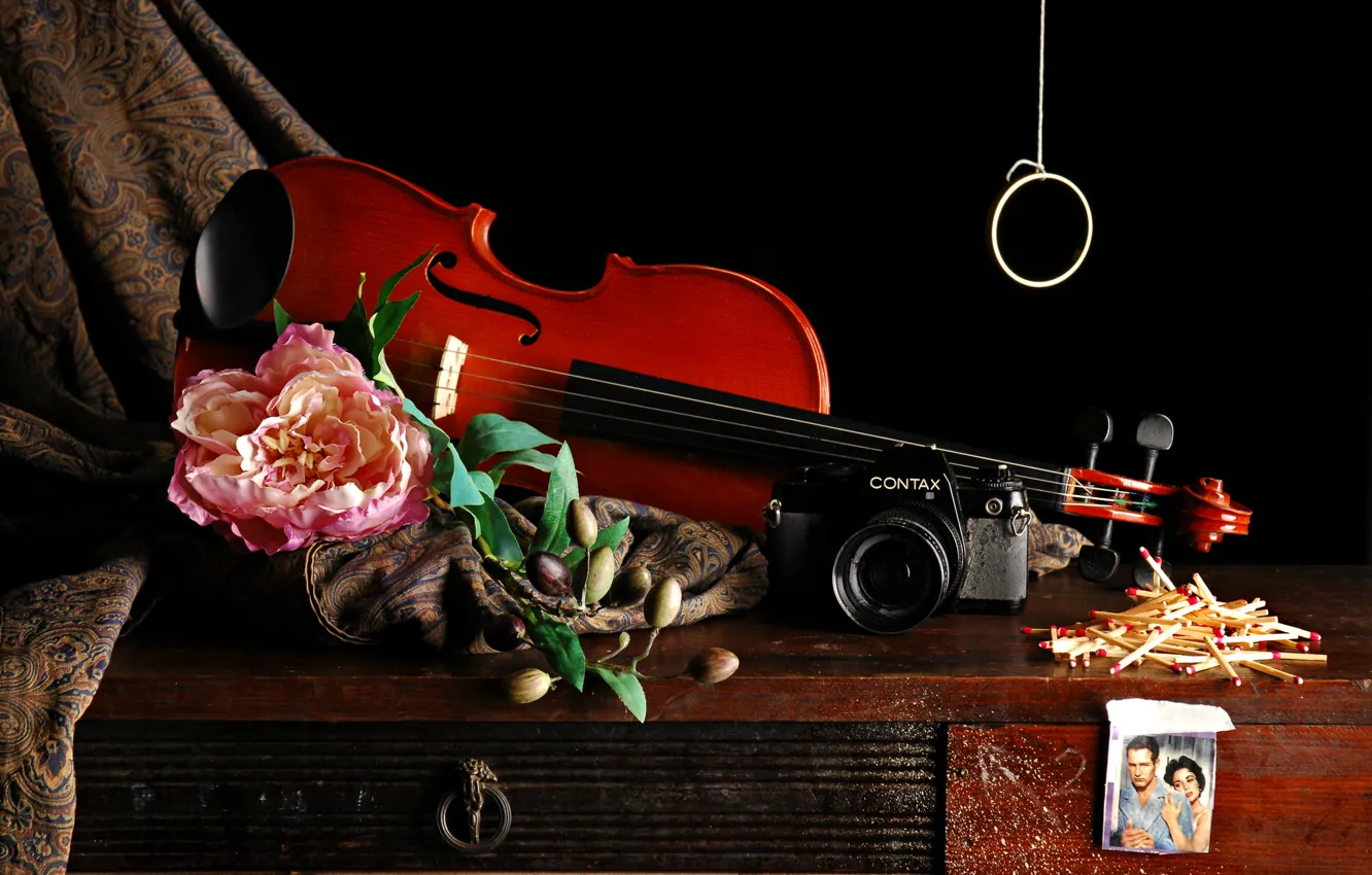 Photo wallpaper flower, photo, violin, matches, the camera, fabric